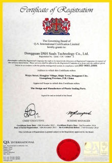 ISO 9001 質量管理體系認證（英）